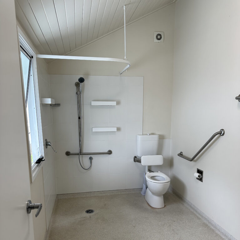 An accessible bathroom featuring a hand-held shower head and rails. The walls are cream with white tiles in the shower area. There's a large window letting in light.